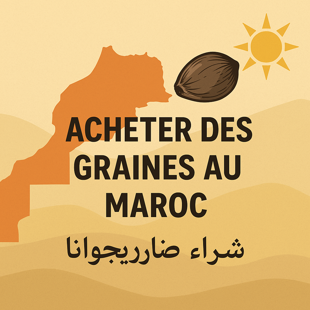 Acheter des graines au Maroc / شراء بذور الماريجوانا