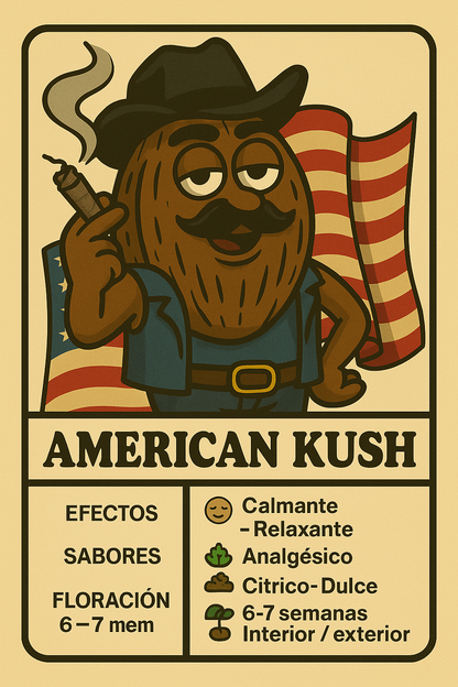 American Kush es una variedad índica rápida, calmante y analgésica. Ideal para desconectar con sabor terroso y picante. Cosecha en solo 6-7 semanas.