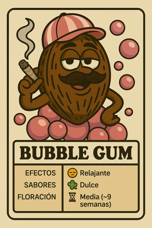 Semillas Bubble Gum con sabor dulce a chicle y efecto alegre y relajado