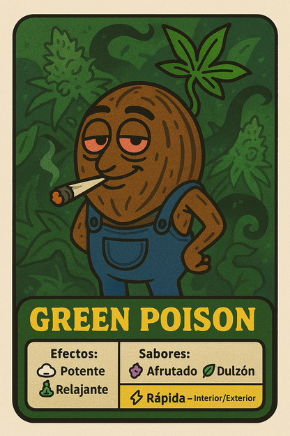 Semillas Green Poison feminizadas – rápida floración, gran producción y sabor dulce | semillasdemarihuanabaratas.com
