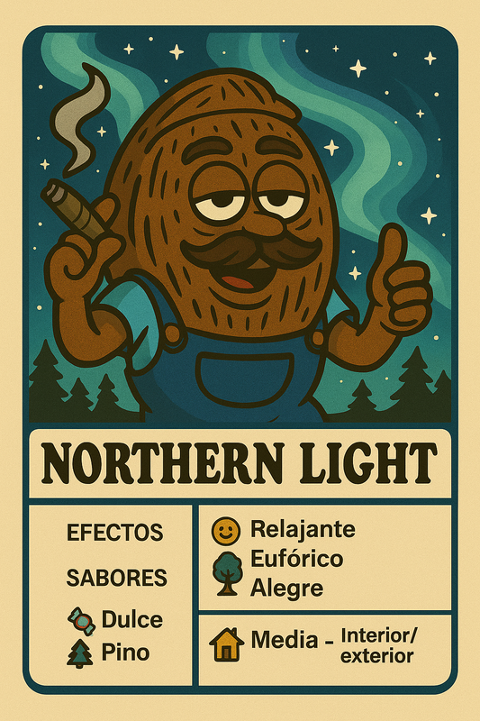 Semillas Northern Light con efecto calmante y aroma dulce y especiado