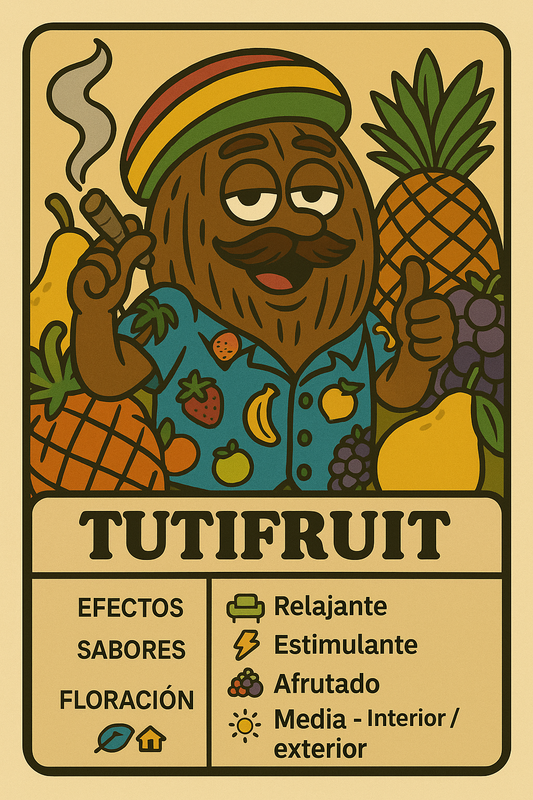 Semillas Tutifruit con sabor afrutado intenso y efecto social alegre