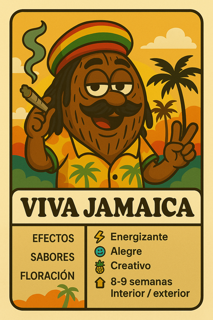 Semillas Viva Jamaica con sabor tropical y efecto energético y alegre