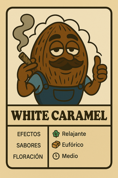 Semillas White Caramel con sabor dulce a caramelo y efecto relajante